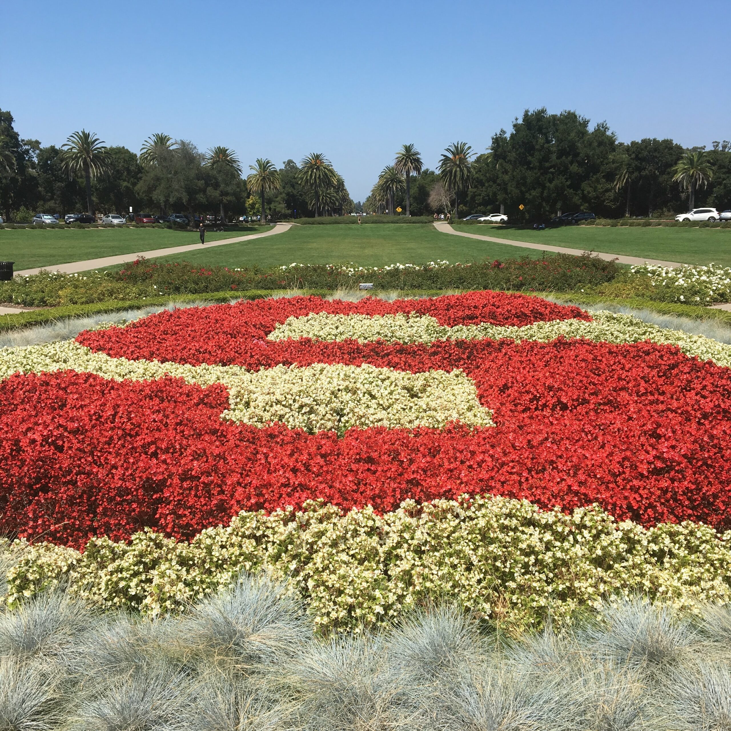 Stanford Football 2025: Can The Cardinal Finally Break The Curse?